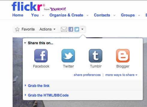 Flickr image options